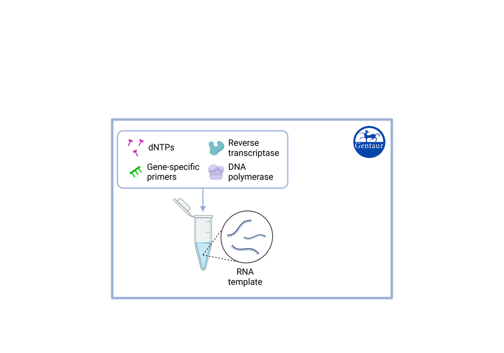 RT PCR Test Kits  SARS-CoV-2