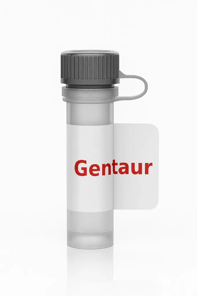 2-mercapto-benzothiazole, KLH