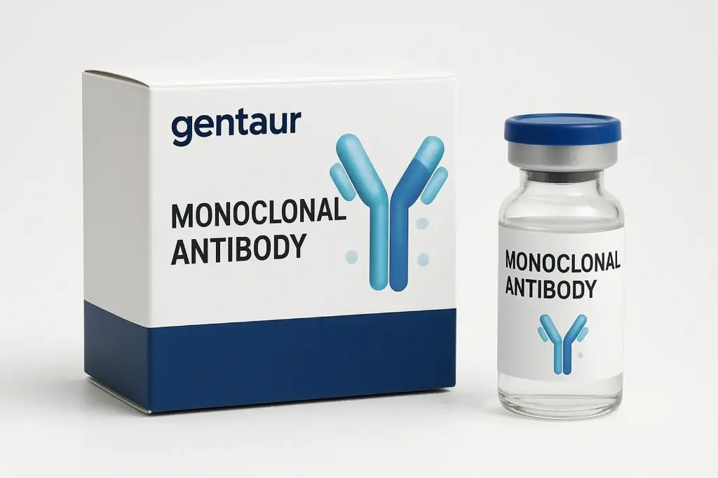 ASS1 Recombinant Monoclonal Antibody [18G11]
