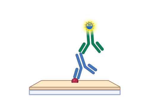 [GEN - AP229G-3] Adiponectin ELISA
