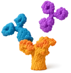 [FD0954-sf] PerCP/Cyanine5.5 Armenian Hamster IgG Isotype Control (20 T)